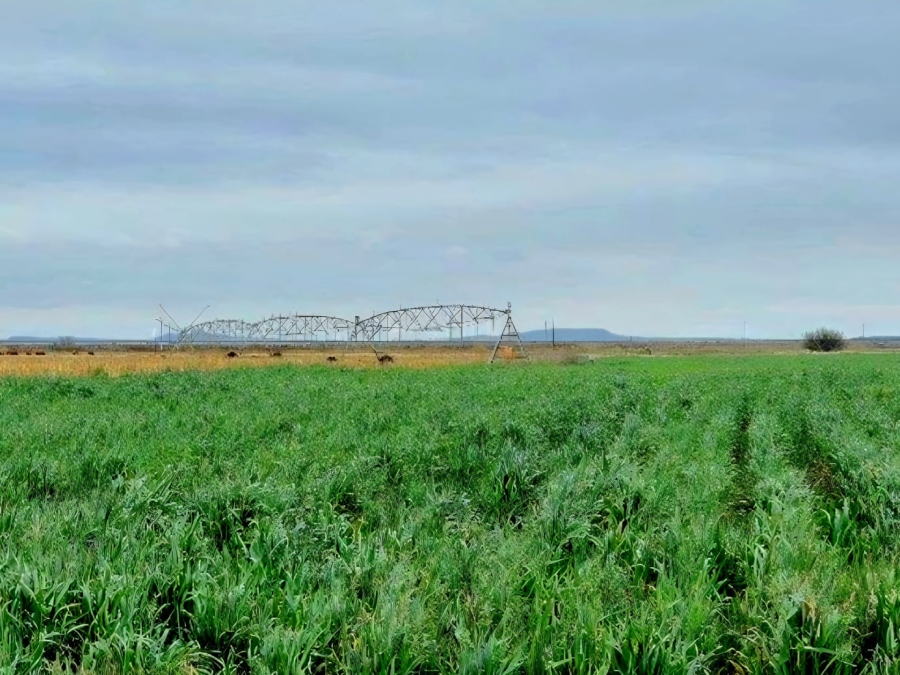 Commercial Property for Sale in Petrusburg Rural Free State